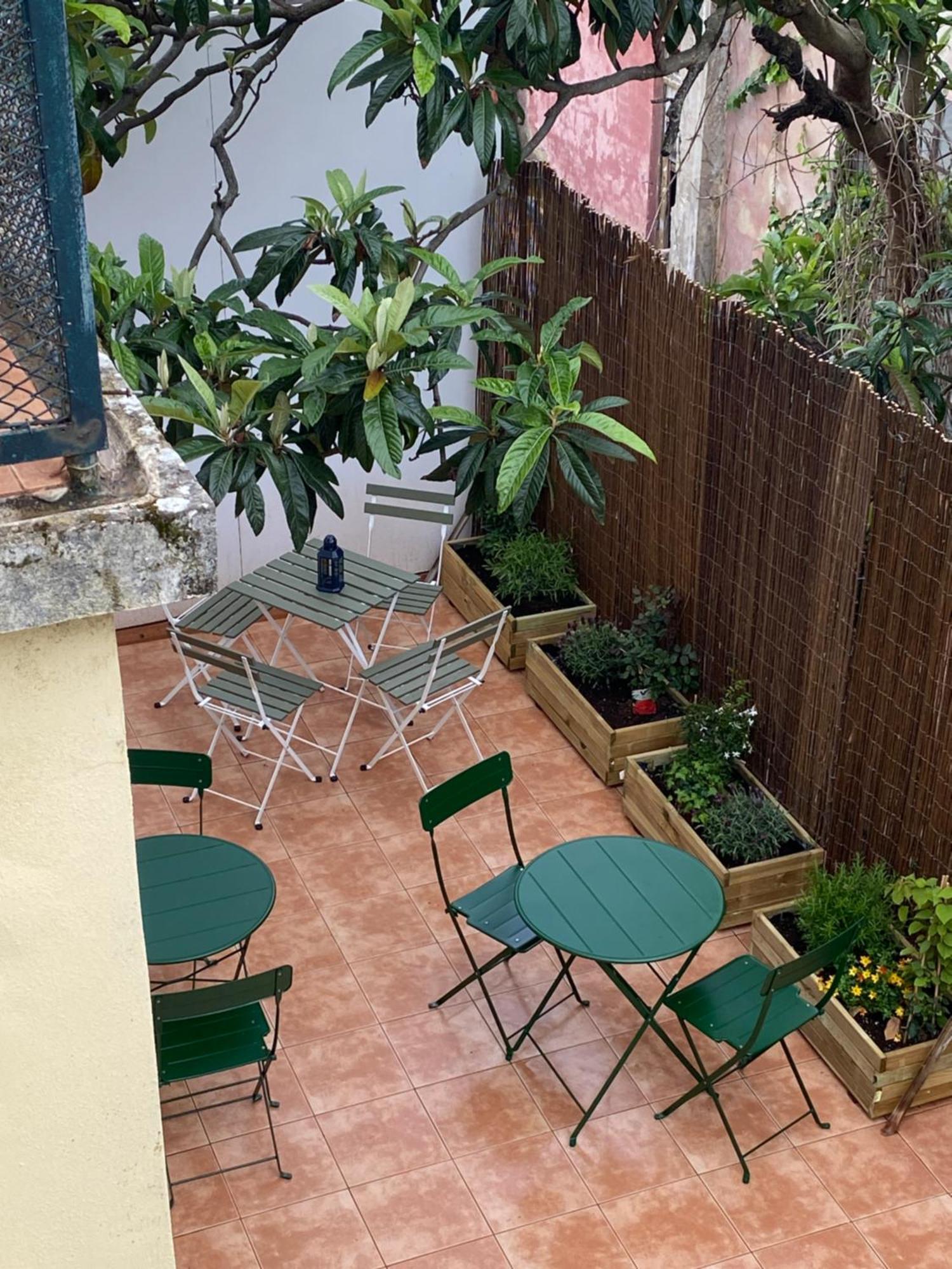 Terrace House Albergue *